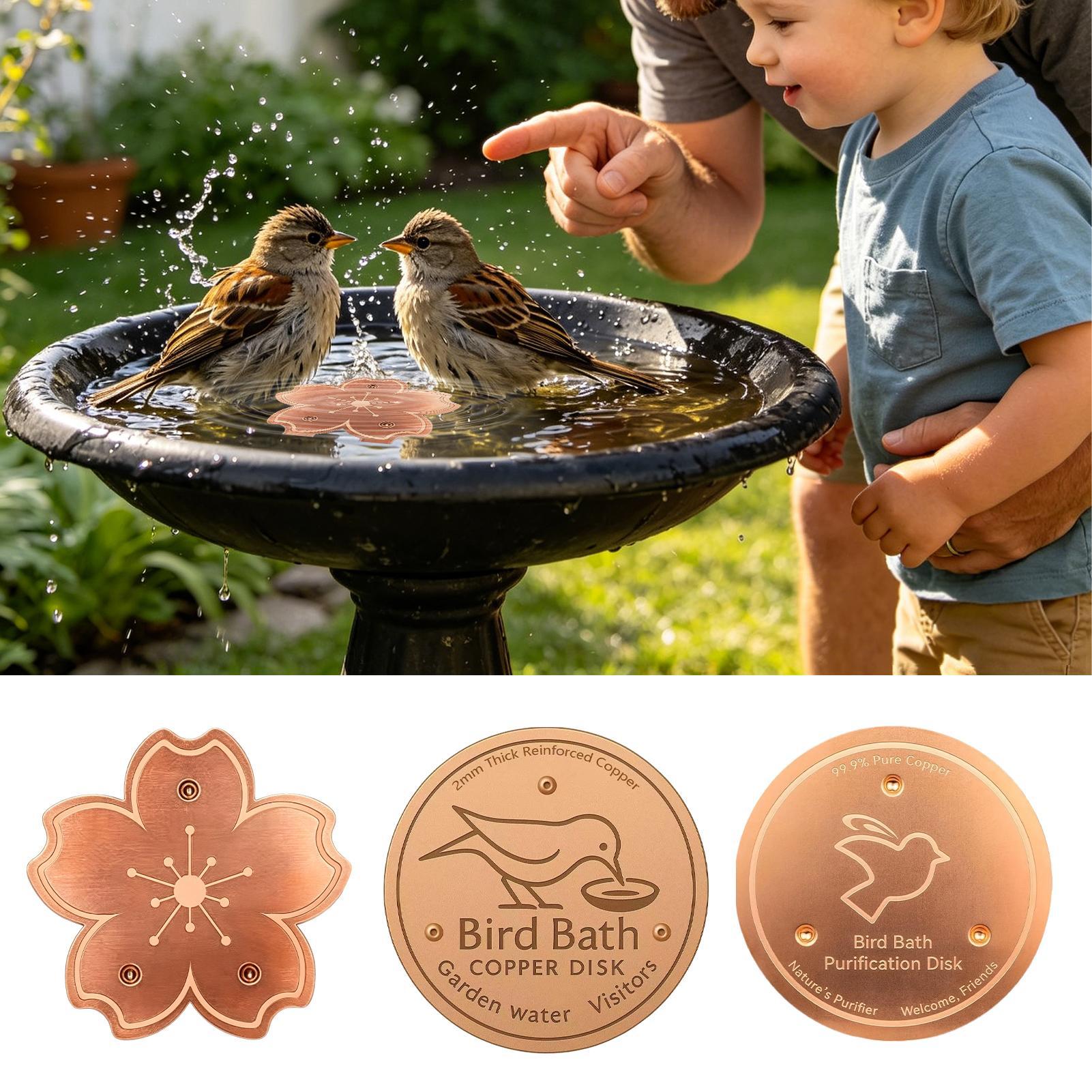 Copper For Bird Bath Safe Puri - đánh giá và giá Watch S